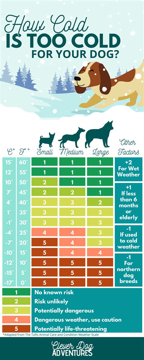 What temperature is ok for dogs to sleep outside. Things To Know About What temperature is ok for dogs to sleep outside. 